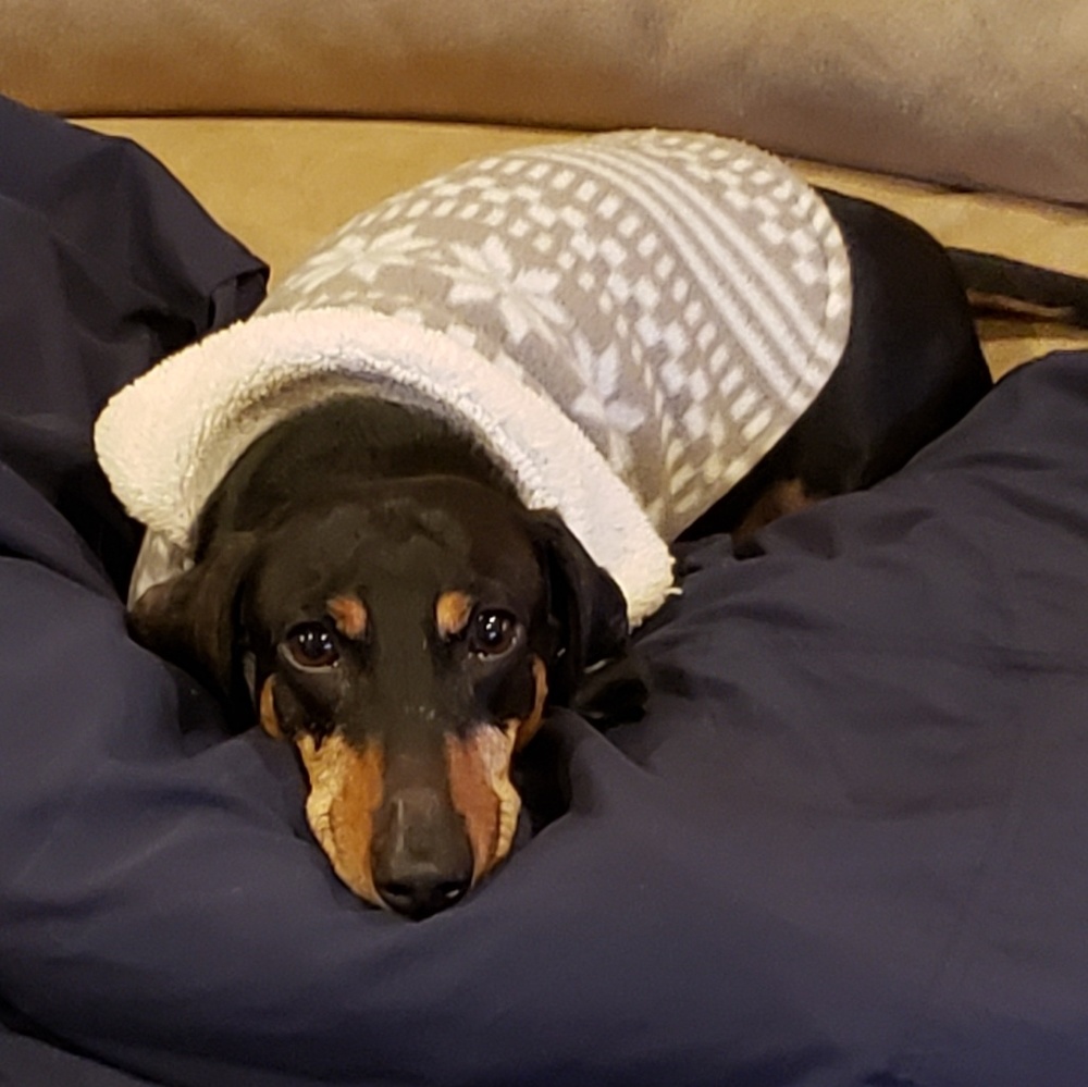 Meet your Posher, Jessica